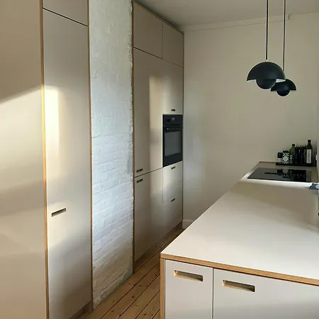 Newly Renovated Period Flat In Vesterbro *